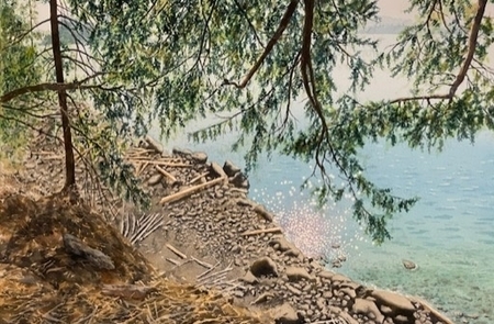 Mayne Island Shore