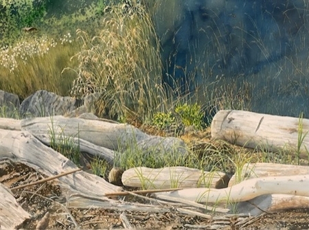 Driftwood, Pender Island