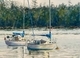 Sailboats at Rest